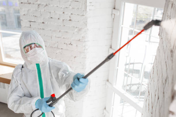 Best Residential Mold Inspection & Testing  in Woodstock, AL