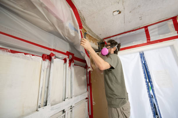 Best Emergency Mold Remediation  in Woodstock, AL