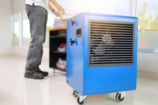  Woodstock, AL Mold Removal Pros