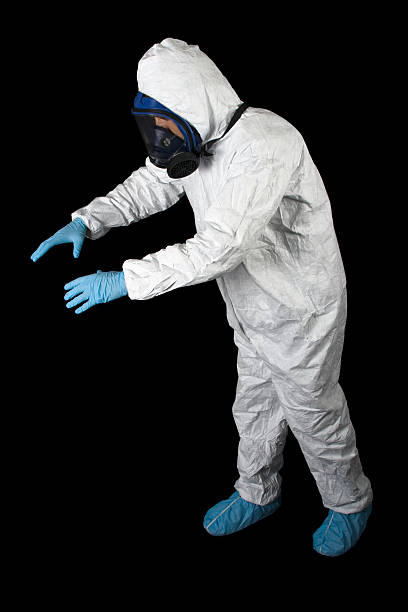 Best Basement Mold Removal  in Woodstock, AL