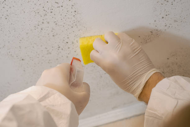Best Indoor Air Quality Assessment  in Woodstock, AL